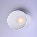Architectural Essentials LED Flush/Wall Mount