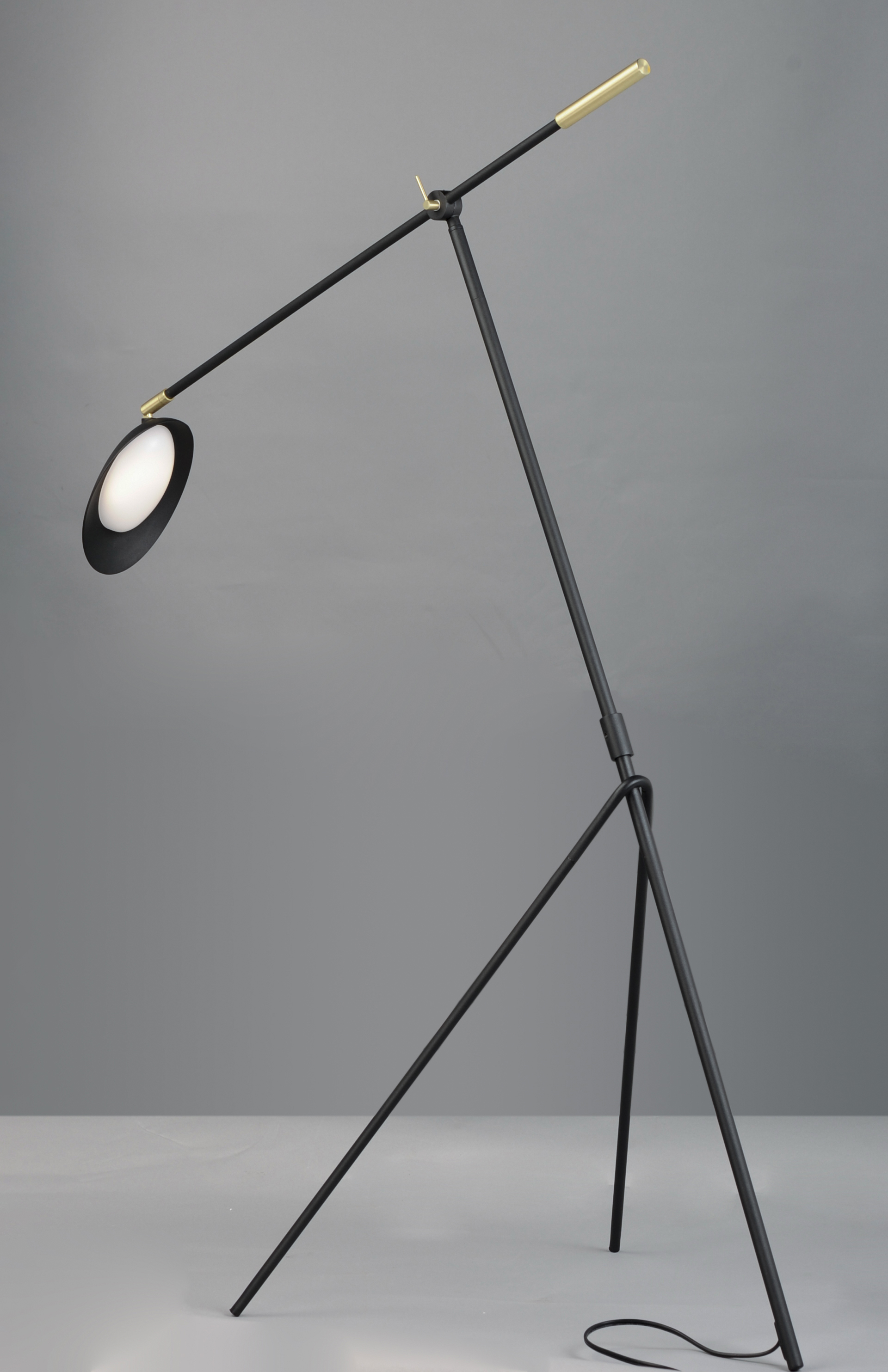 Curvilinear floor lamp discount