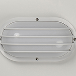 Bulwark Outdoor Wall Sconce