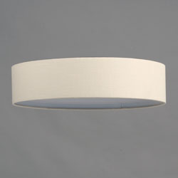 Prime 20" LED Flushmount