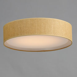 Prime 20" LED Flushmount