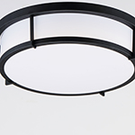 Rogue 3-Light Flush Mount E26