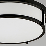 Rogue 3-Light Flush Mount E26