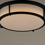 Rogue 3-Light Flush Mount E26