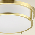 Rogue 2-Light 13 Flush Mount E26