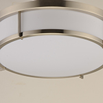 Rogue LED Flush Mount