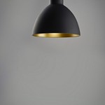 Cora Pendant