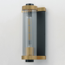 Opulent 1-Light Outdoor Wall Sconce