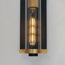 Opulent 2-Light 20 Outdoor Wall Sconce