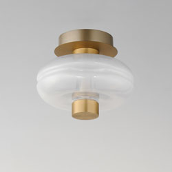 Gusto LED Wall Sconce / Flush Mount