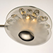 Peony 10-Light LED Pendant