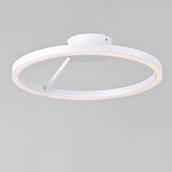 Rondure LED Flush / Wall Mount