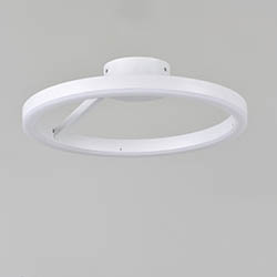 Rondure LED Flush / Wall Mount