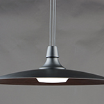 Raven LED Pendant