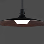 Raven LED Pendant