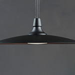 Raven LED Pendant