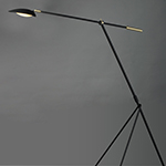 Curvilinear LED Floor Lamp