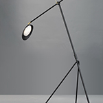 Curvilinear LED Floor Lamp