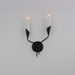 Calyx 2-Light Sconce