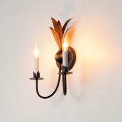 Paloma 2-Light Sconce