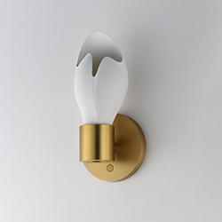 Burgeon LED Wall Sconce
