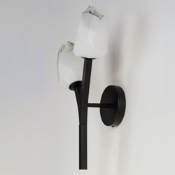 Blossom 2-Light Wall Sconce