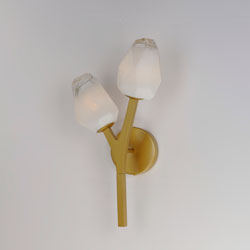 Blossom 2-Light Wall Sconce