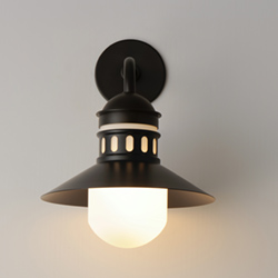 Admiralty 1-Light Outdoor Wall Sconce