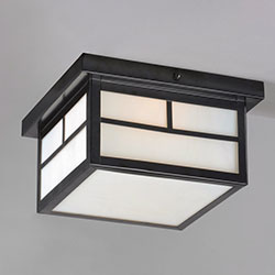 Coldwater 2-Light Outdoor Ceiling Mount