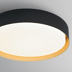 Echo 24 LED Pendant