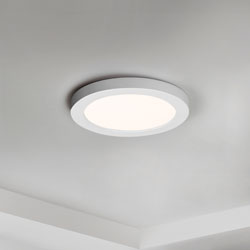 Chip 5" 12W RD LED Flush Mount