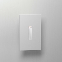Path LED Step Light