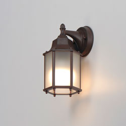 Side Door LED Outdoor Wall Mount