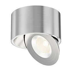 Fulcrum LED Flush Mount w Gimbal