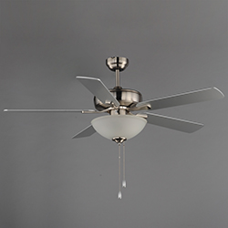 Super-Max 52 Ceiling Fan with 2-Light Kit